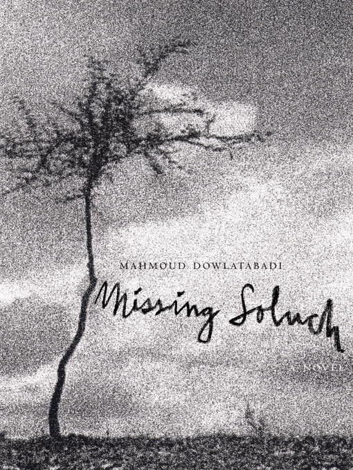 Cover image for Missing Soluch